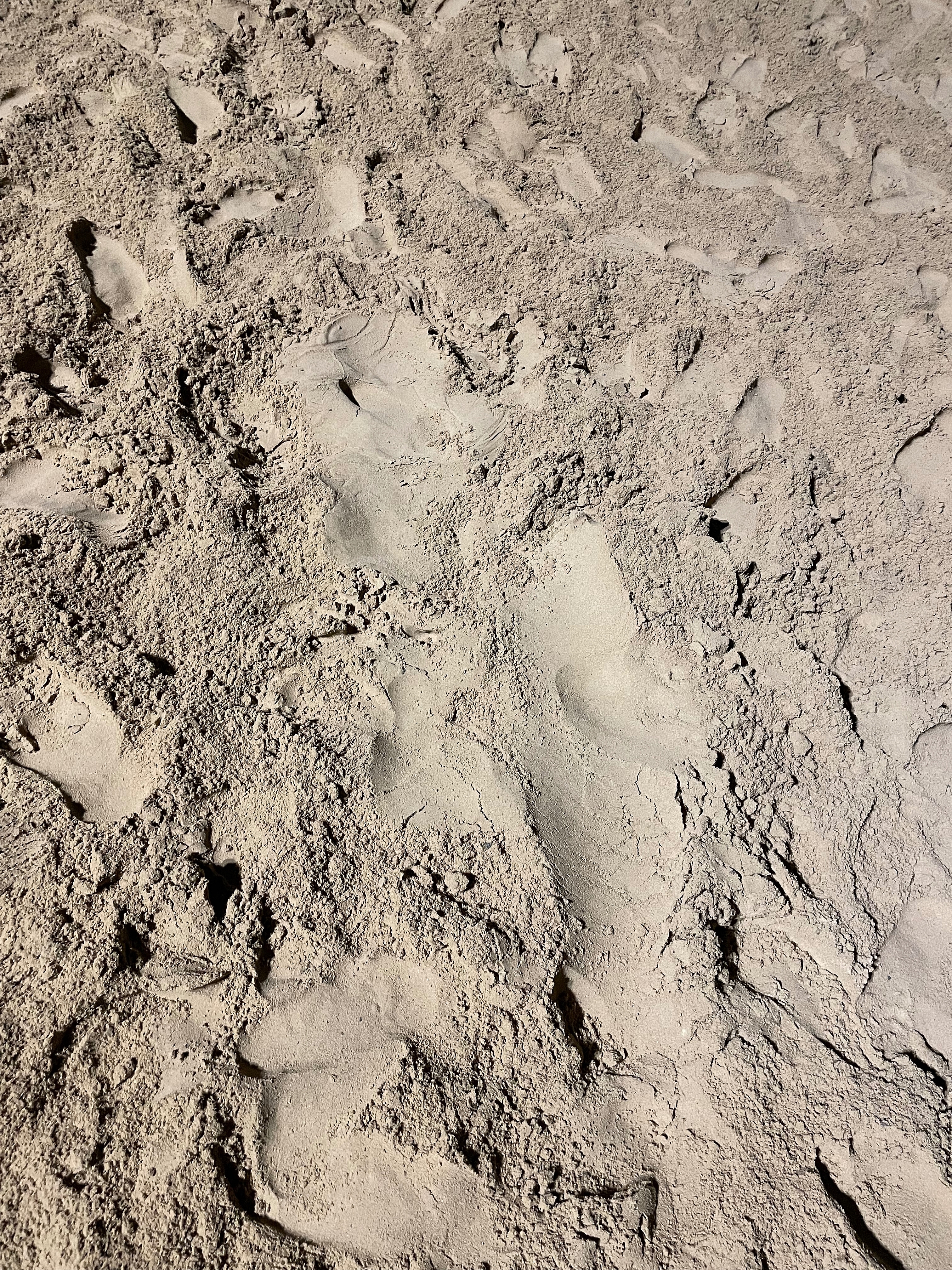 POTG - Shots at Murphs 