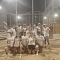 Summer Professionals Team Logo