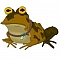 Team Hypnotoad