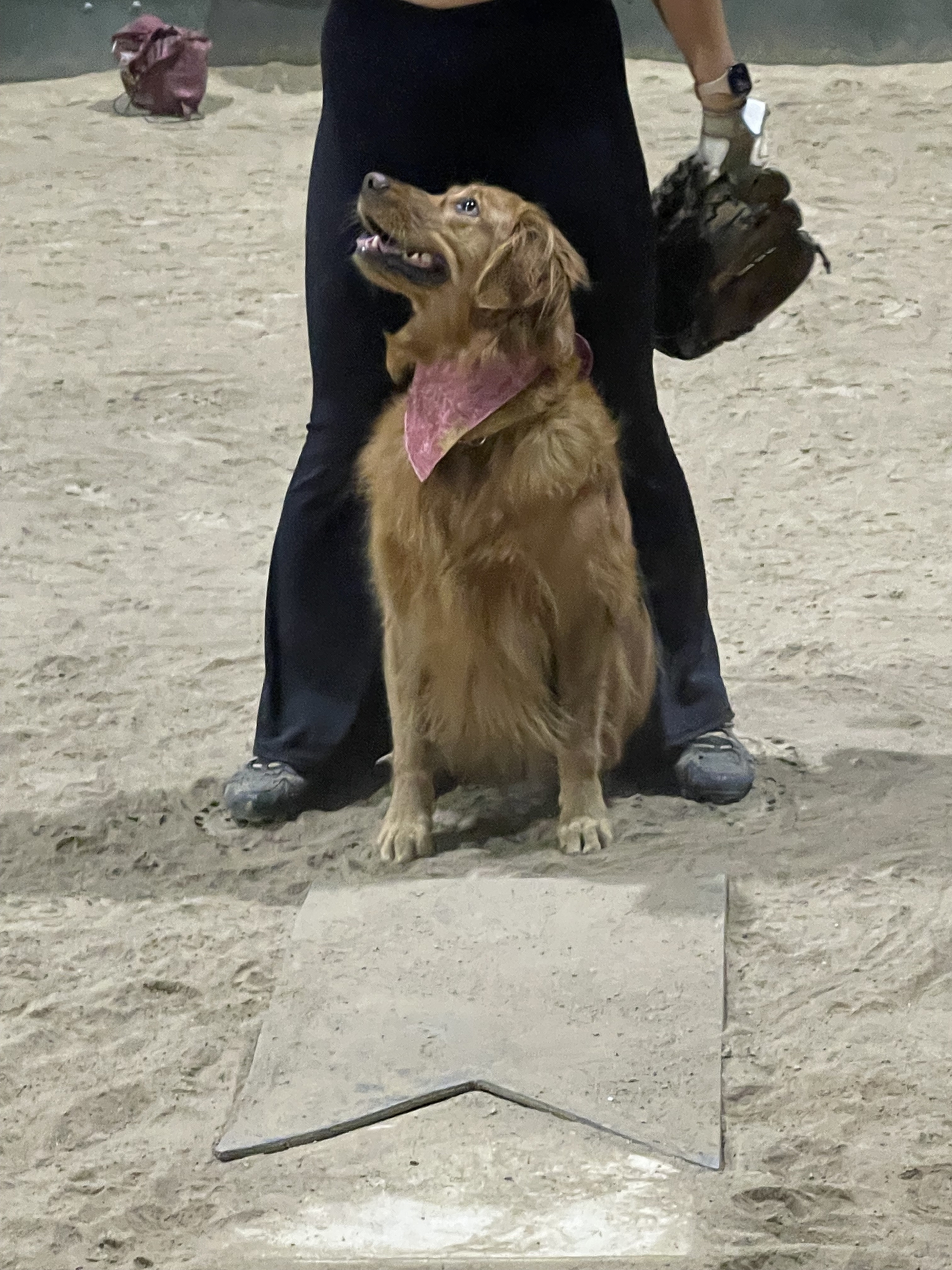 POTG - Crunchwrap Crows