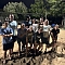 Volley Partons