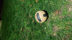 Player Of The Game: Michael Z