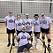 Silly Gooses (pt 2) Team Logo