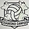 Diamond Dawgs Team Logo
