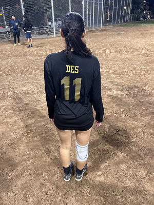 Player Of The Game: Destiny B