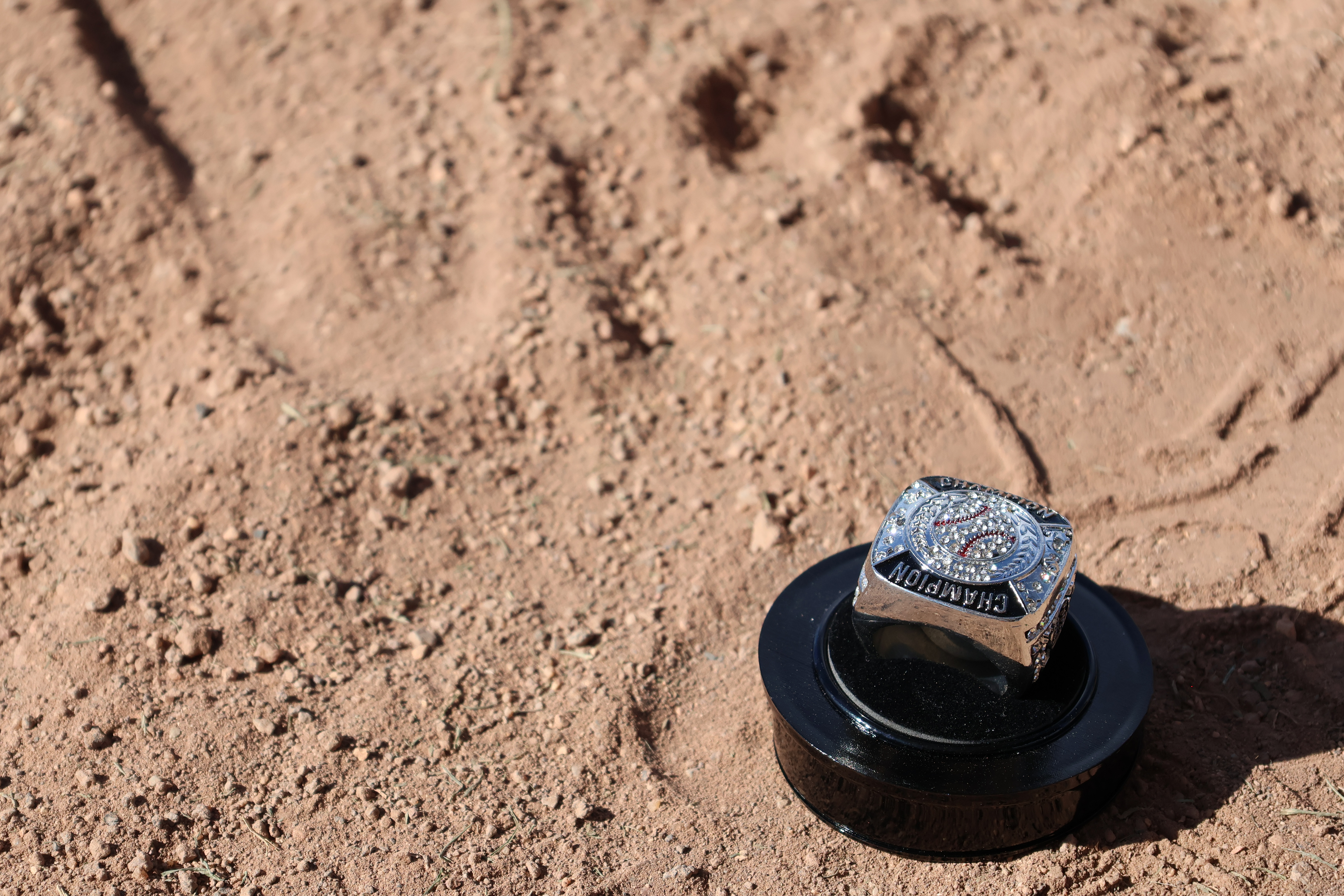 2025 Wiffle Ball Tournament