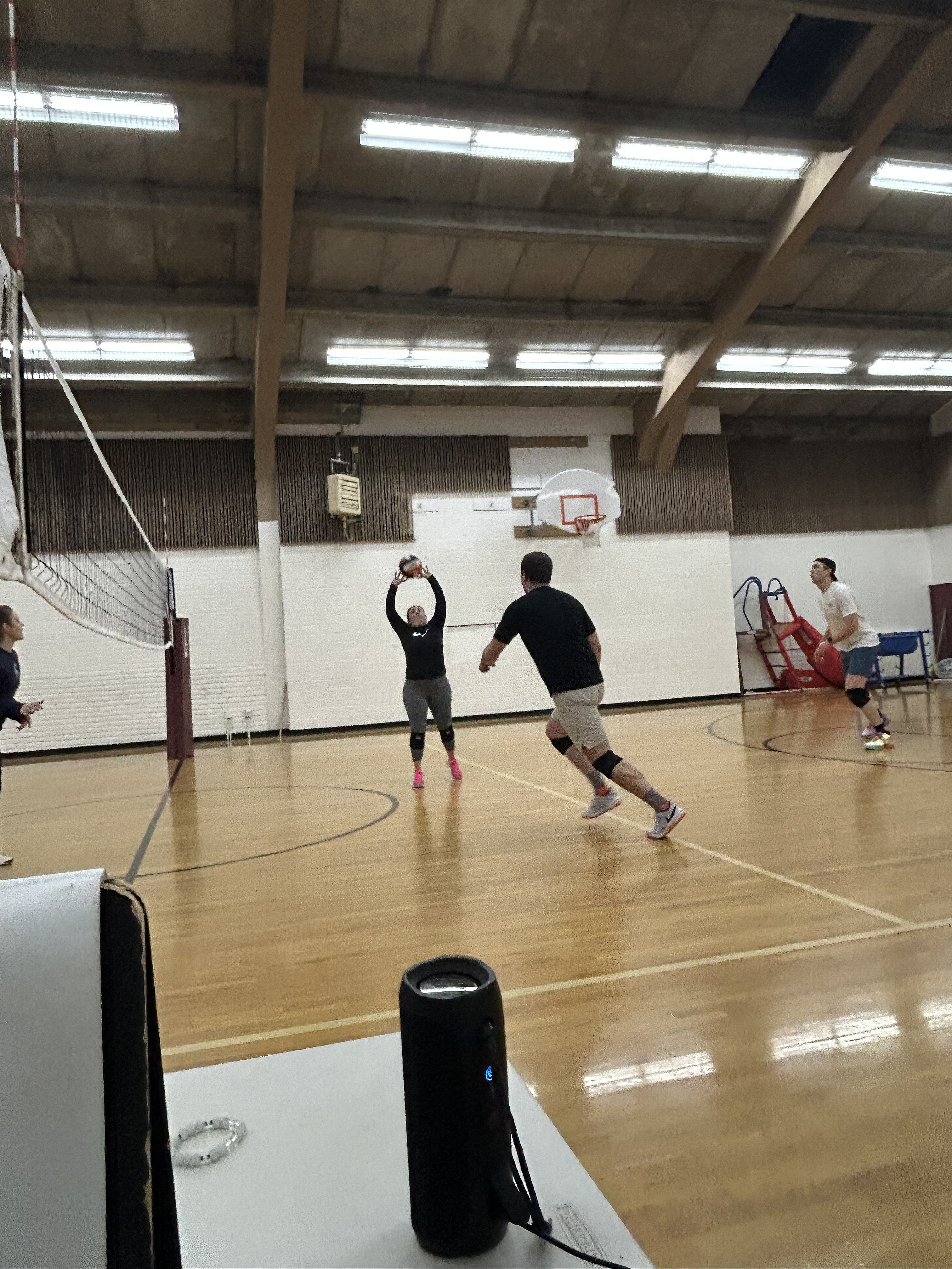 POTG - The Volley Llamas