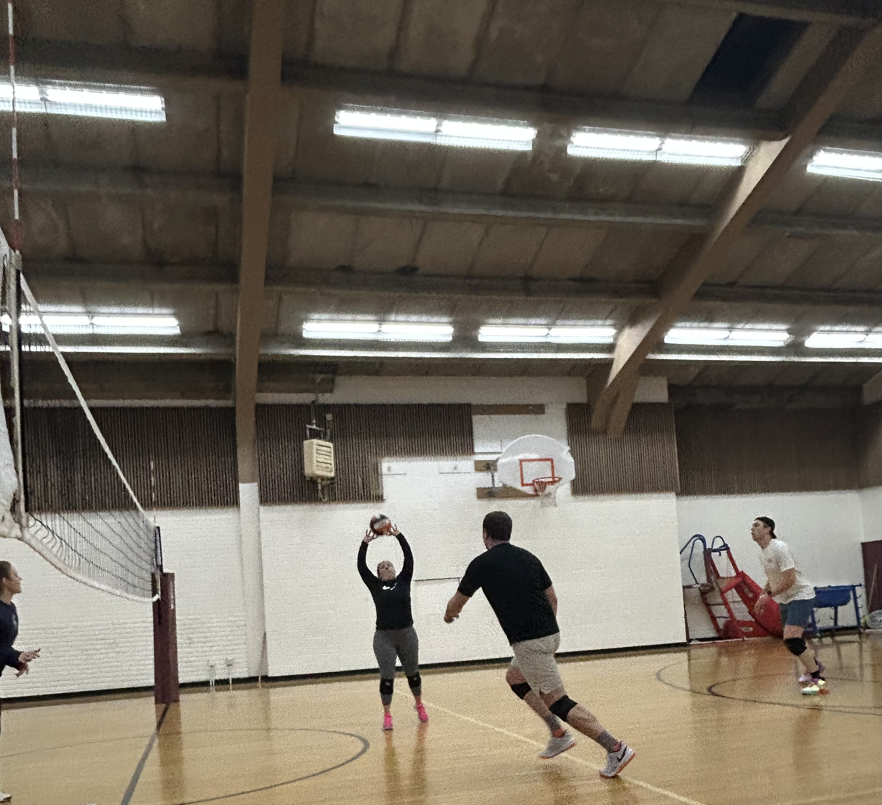 POTG - The Volley Llamas