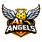 A1 ANGELS Team Logo