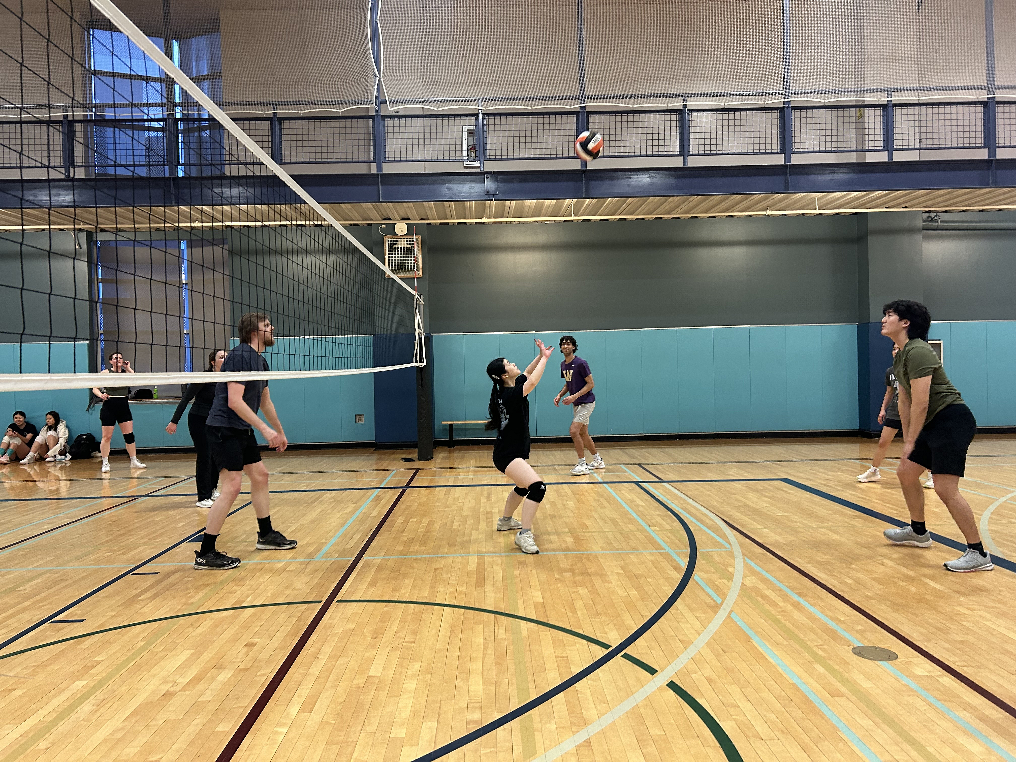 POTG - Kangaroo Jacks