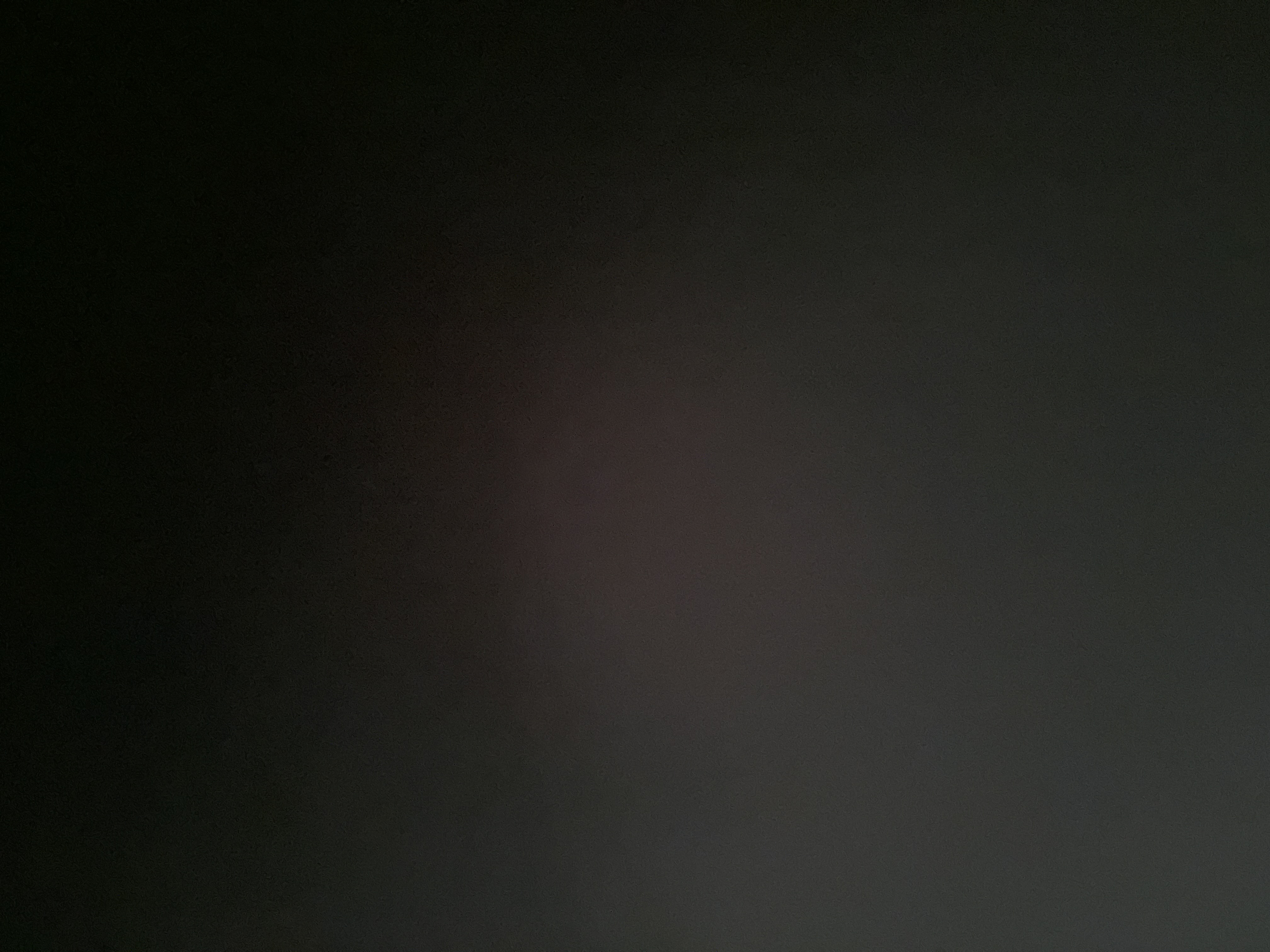 Setter? I Hardly Know 'er