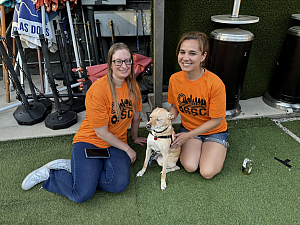 Cornadoes Team Photo