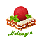 Ballsagna  Team Logo