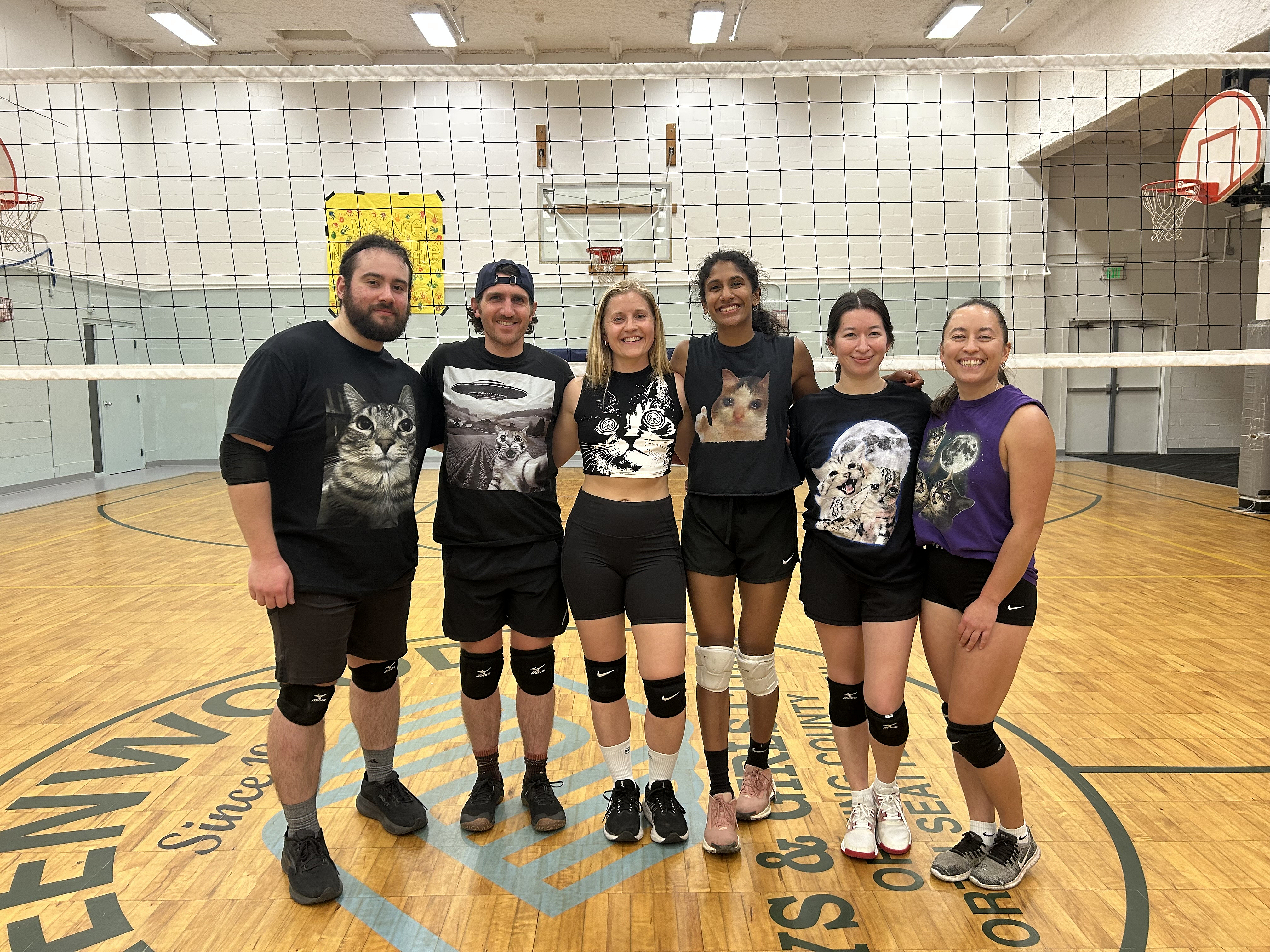 Weak and Defenseless Kittens