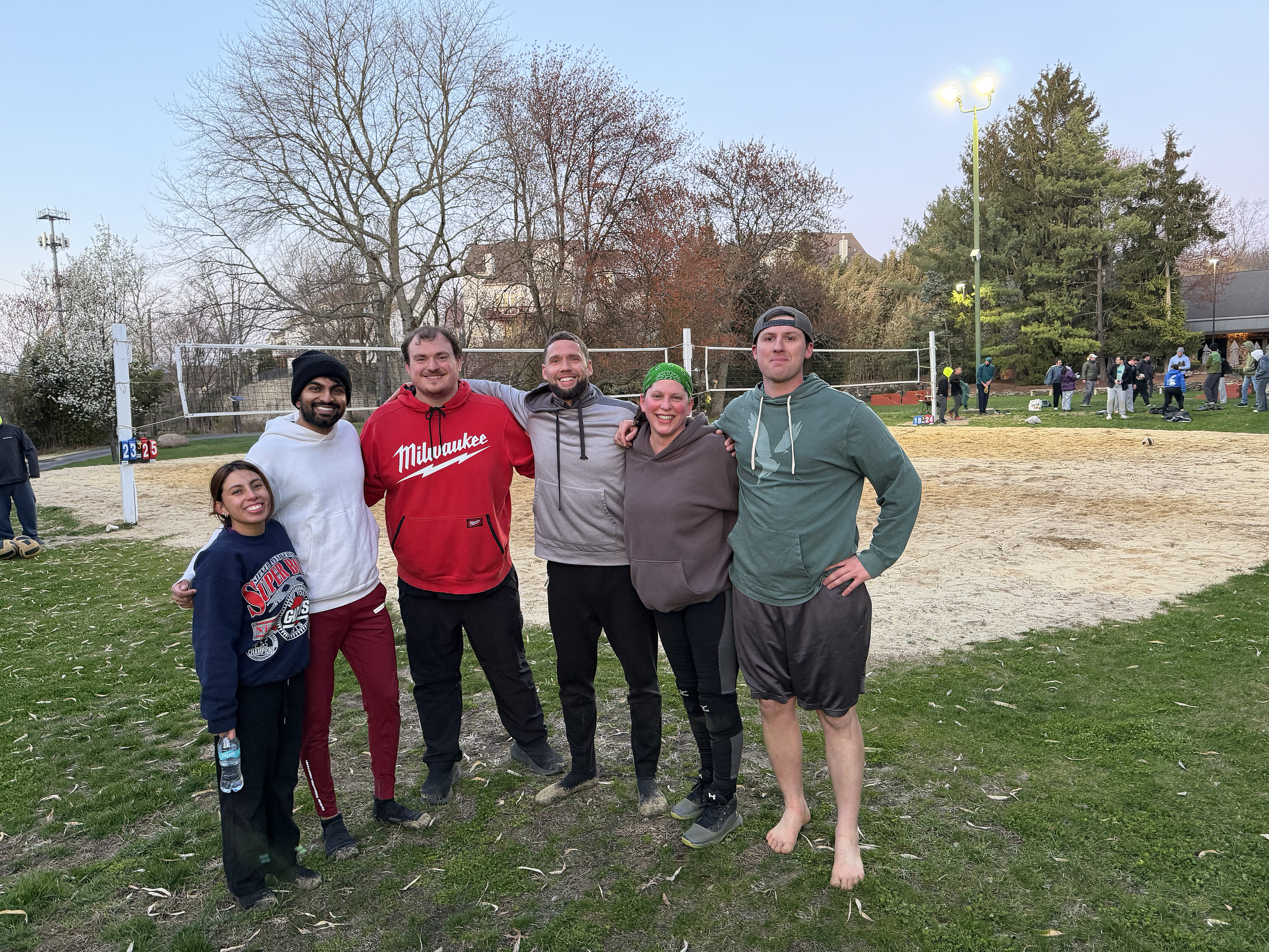 POTG - When Harry Set Sally