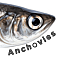 Anchovies