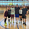 Volley Parton  Team Logo