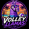 Volley Llamas Team Logo