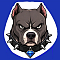 The Diamond Dawgs Team Logo