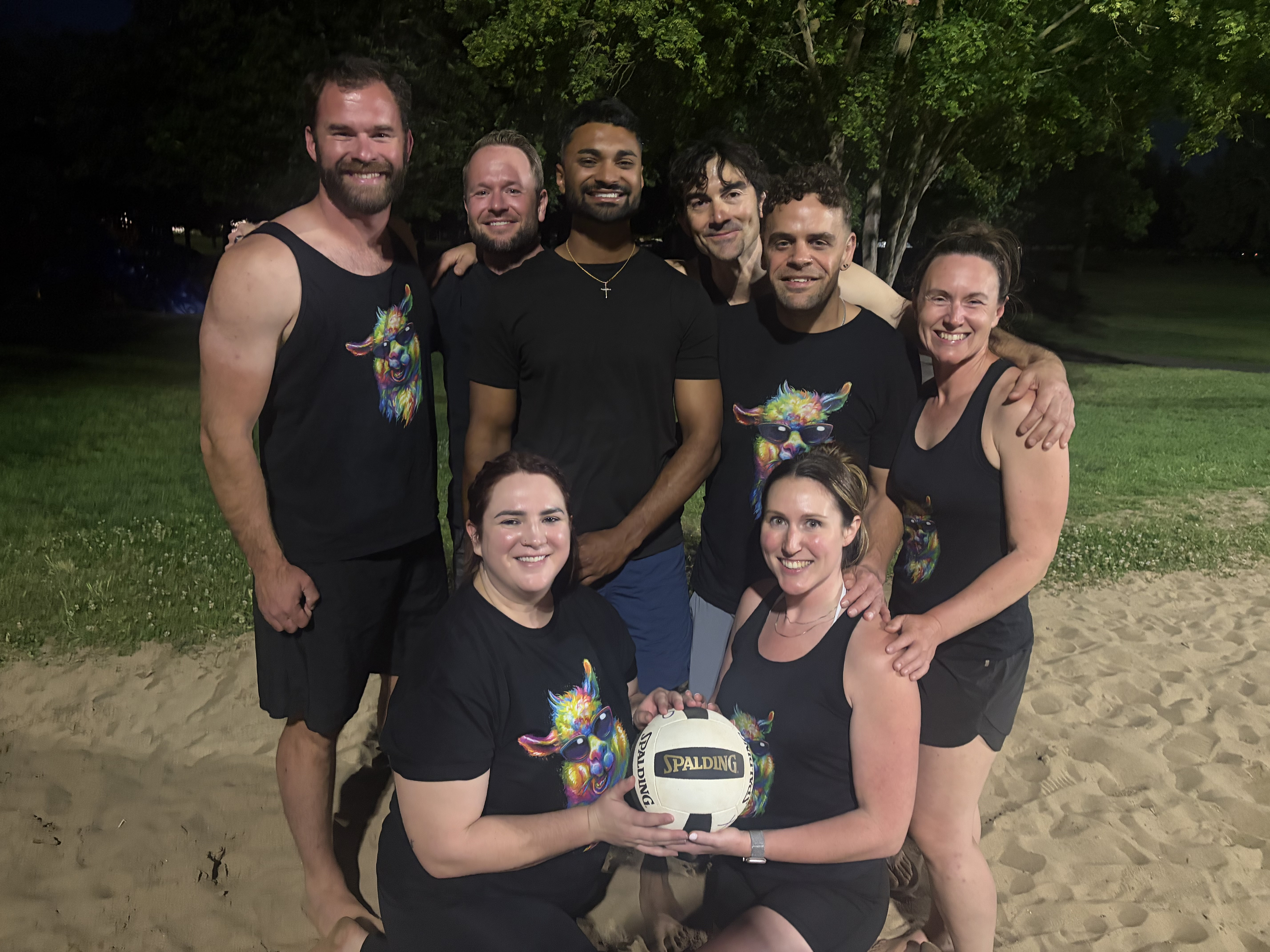 The Volley Llamas