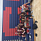 Varsity Vikings* Team Logo