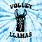 Volley Llamas 1.0 Team Logo