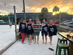 Nips In The Net (ia) - CHAMPS photo