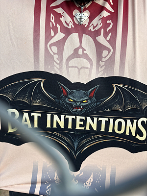 Bat Intentions Team Photo