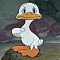 Ugly Ducklings