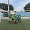 Tartin Army FC Team Logo