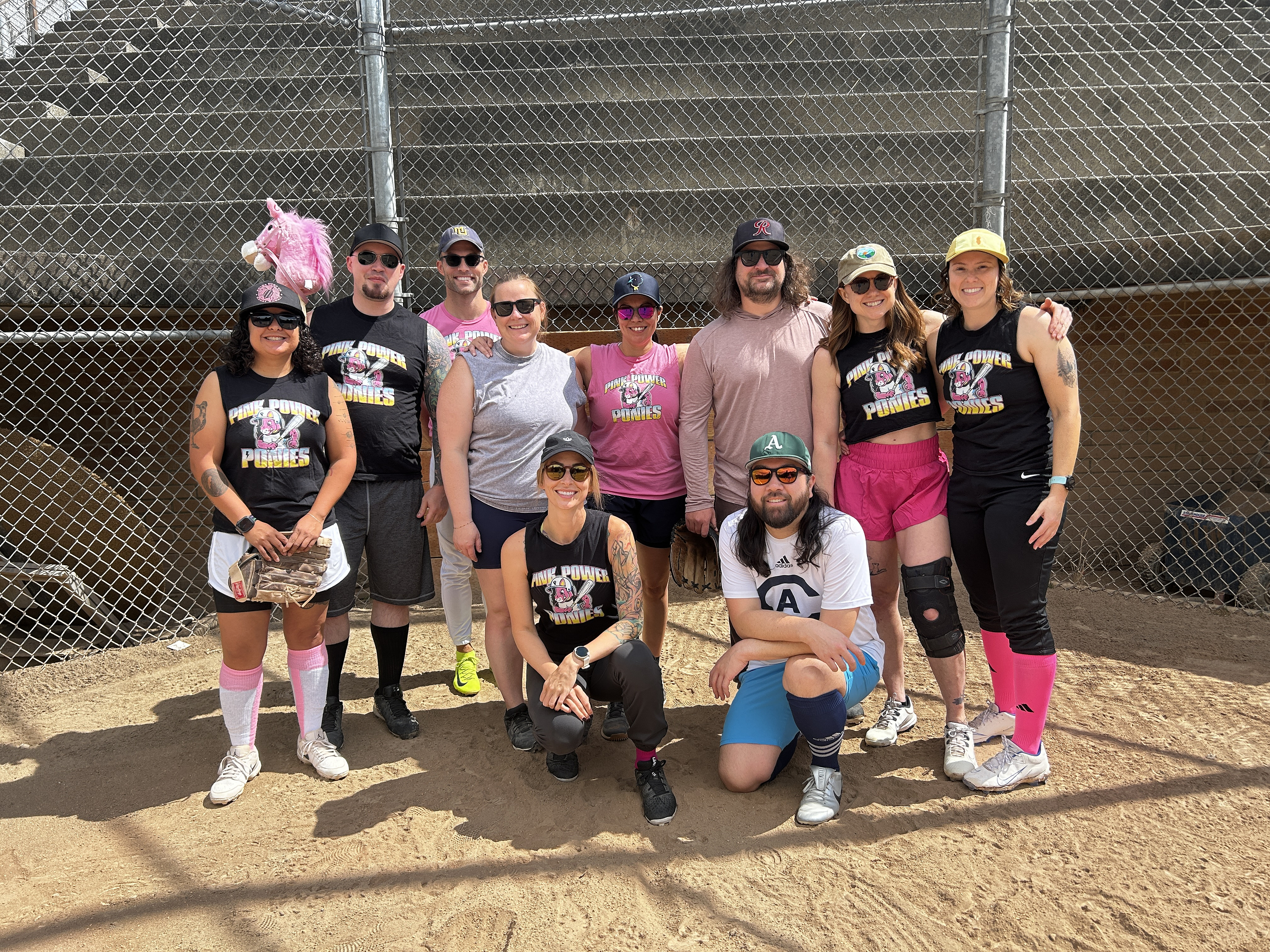 Pink Power Ponies