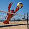 Block Lobster Team Logo