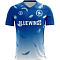 Bluewings ll