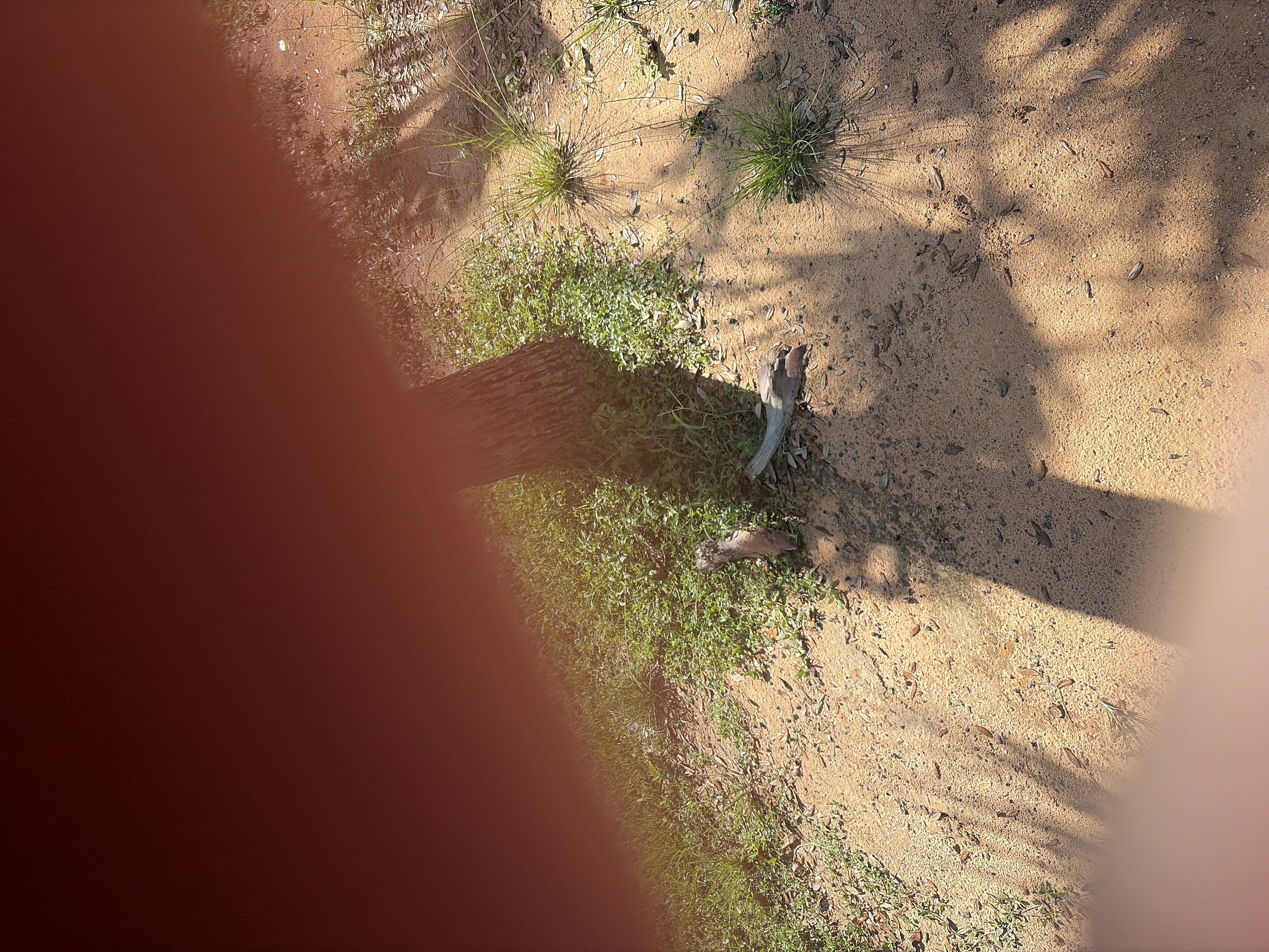POTG - 2 Bat to the Bone 