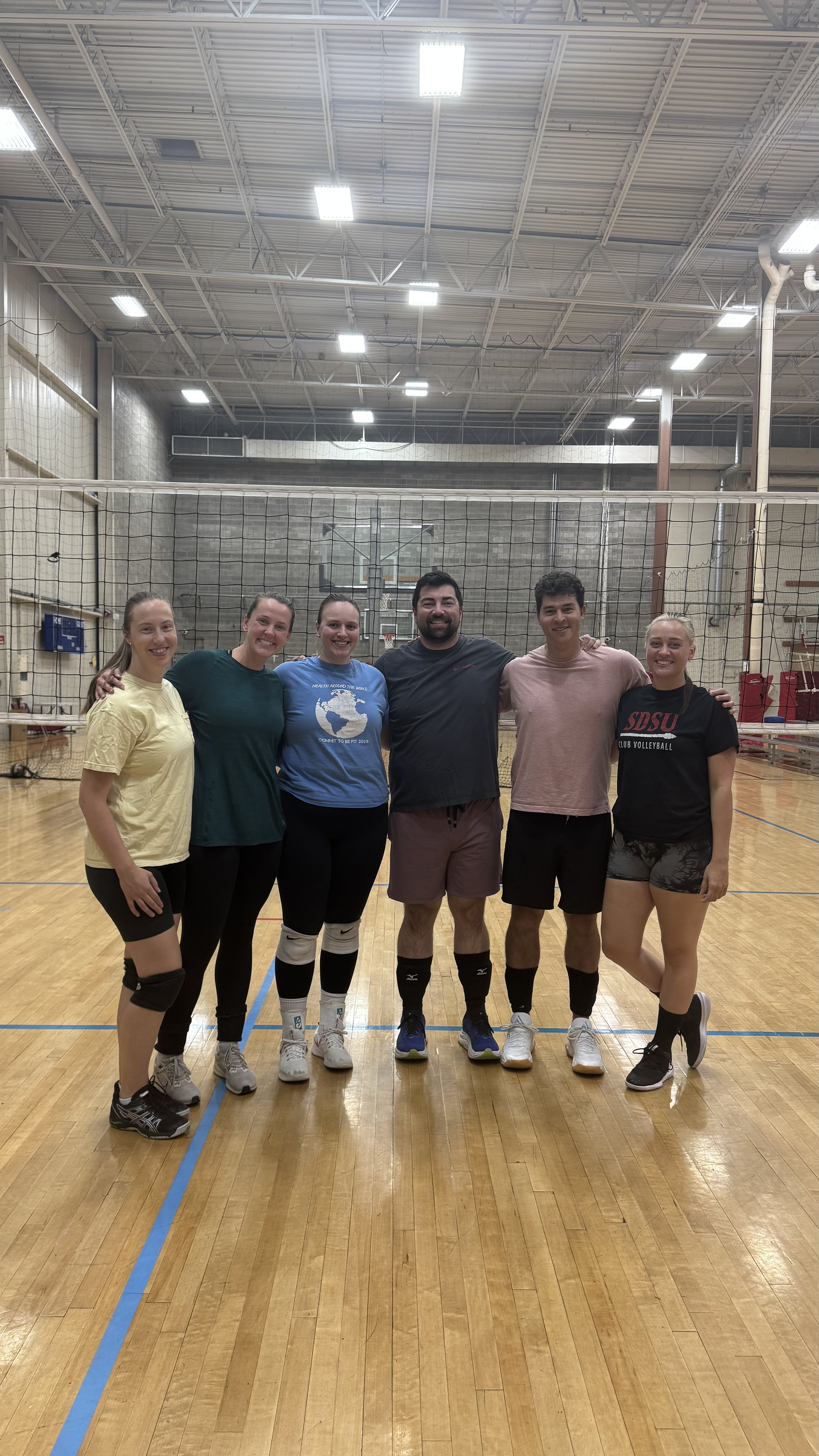 Volleybrawlers