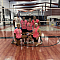 Your Honor, We're Serving Team Logo