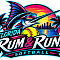 RUM & RUNS Team Logo