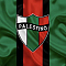 FC Palestino Team Logo