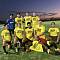 Cobras Team Logo