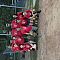 Brewsers Team Logo