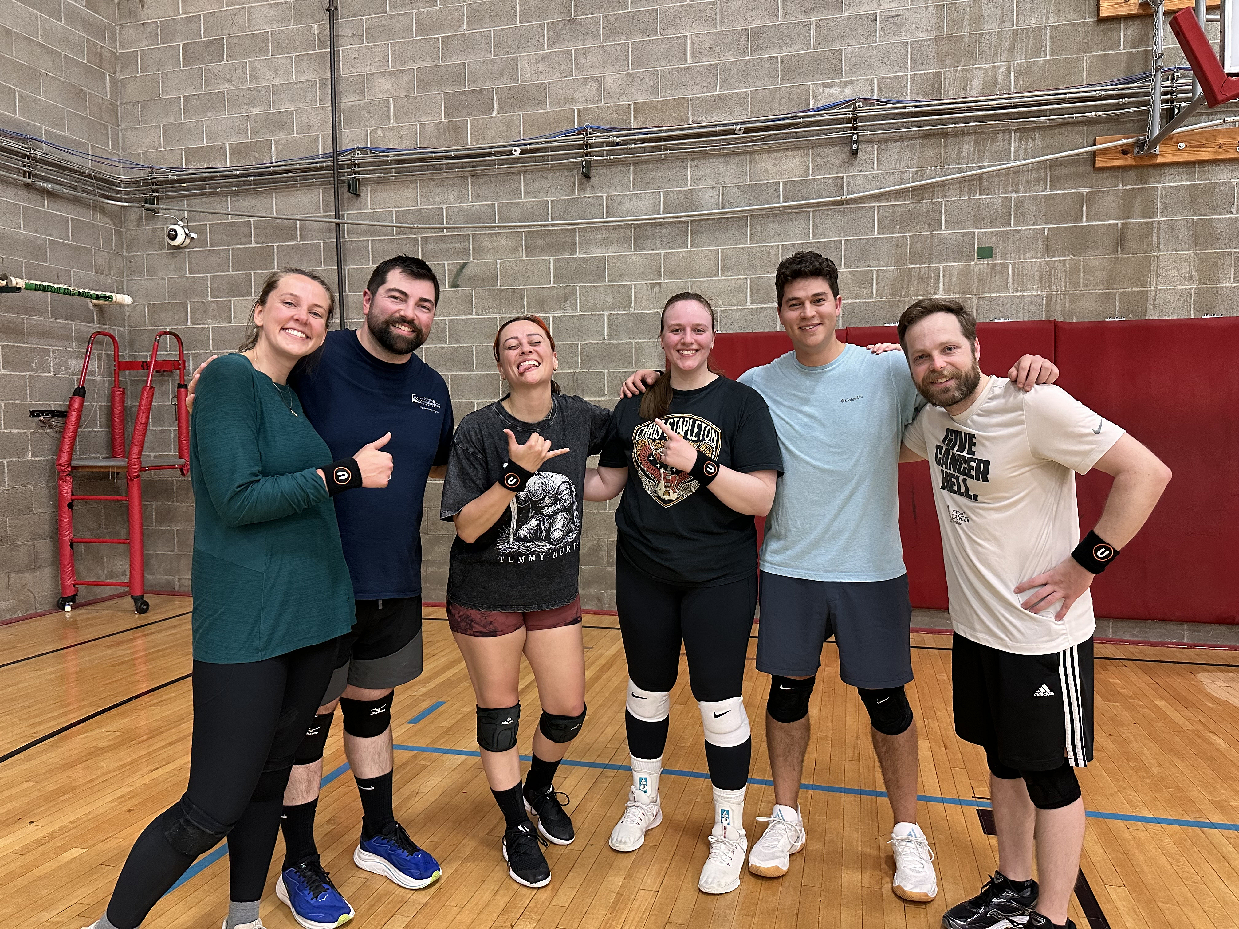 Volleybrawlers