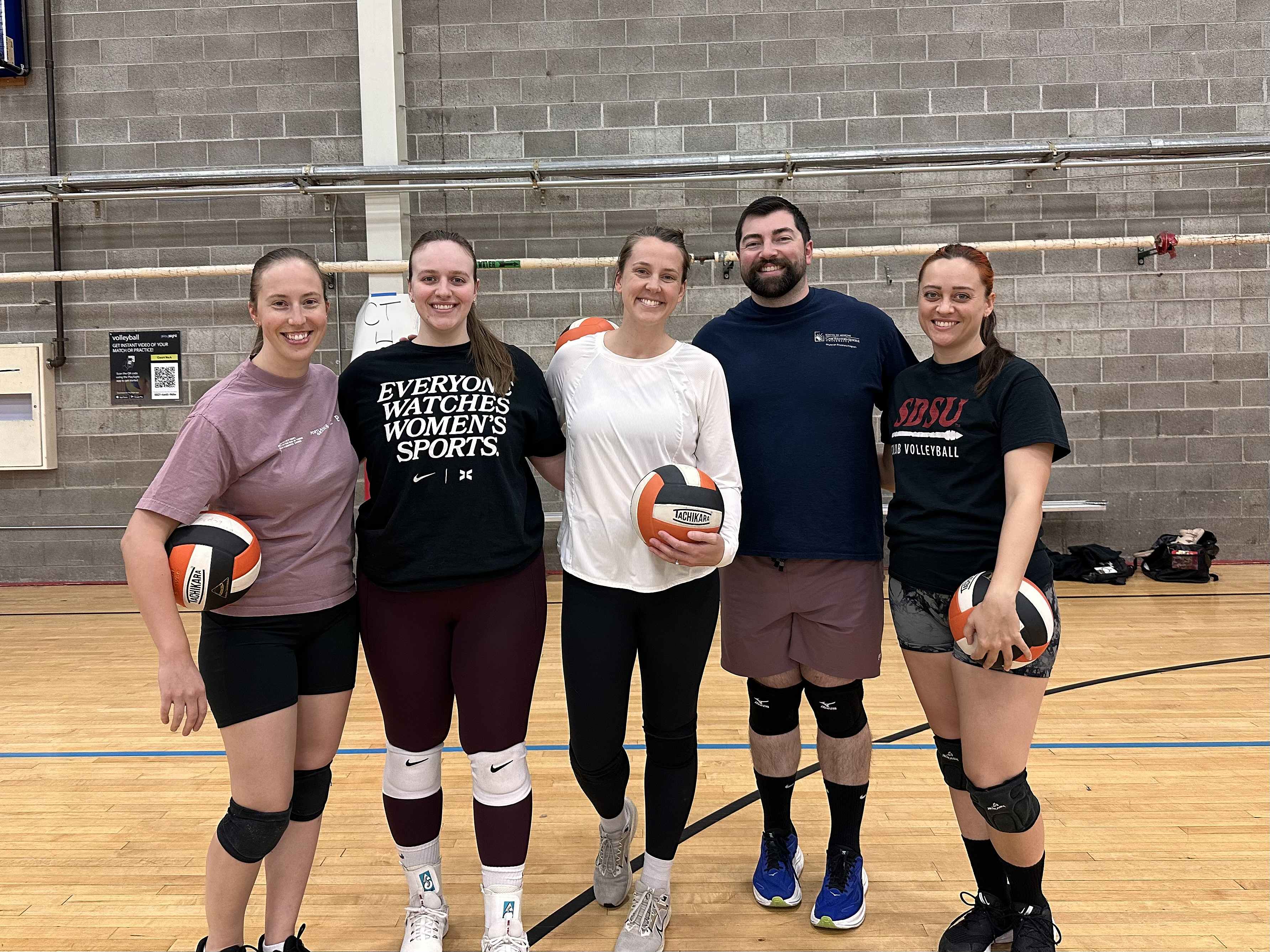 Volleybrawlers 