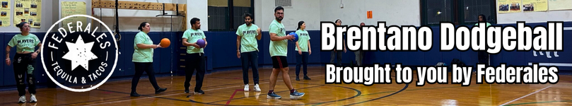 Bar Sponsor - Feds Dodgeball