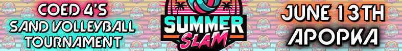 26.06.13 Tourney - VBT Summer Slam