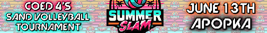 26.06.13 Tourney - VBT Summer Slam