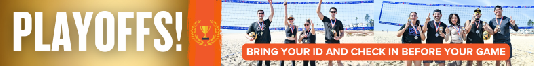 Playoffs (Volleyball)