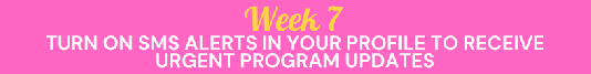 X26 Program Week 7