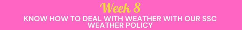 X26 Program Week 8