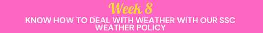 X26 Program Week 8