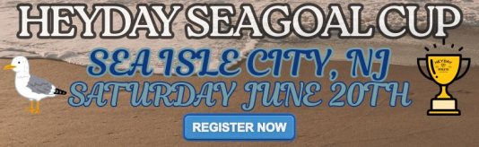 6/20 seagoal cup